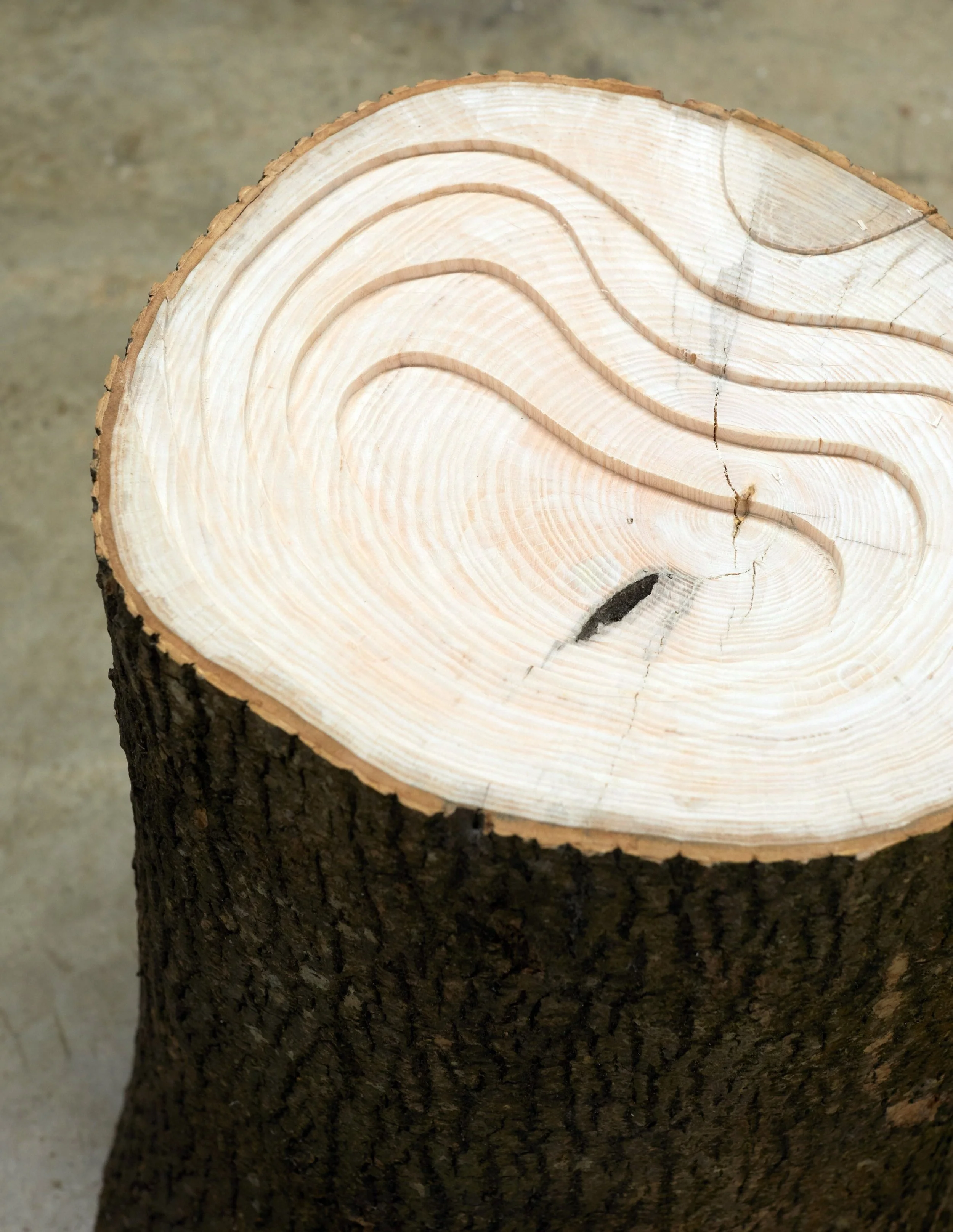Log Stool — George Richardson Studio